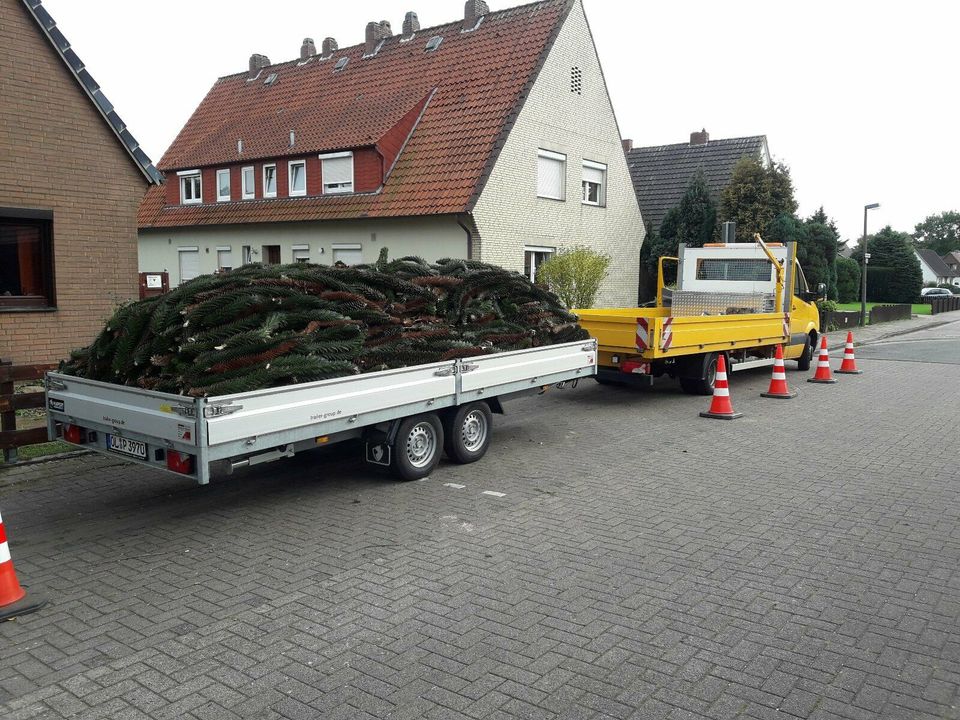 Containerdienst für Strauchschnitt,Hecken,Büsche u.s.w. bis 12 m³ in Ganderkesee