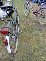 Damenrad Hollandrad Europa und ein Modena Sport Damenfahrrad Nordwestmecklenburg - Landkreis - Ventschow Vorschau