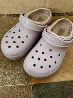 Wintercrocs in Flieder Bayern - Oberaudorf Vorschau