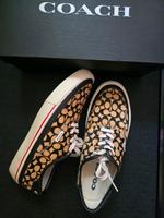 Coach Sneaker Gr.40 Neu Berlin - Spandau Vorschau