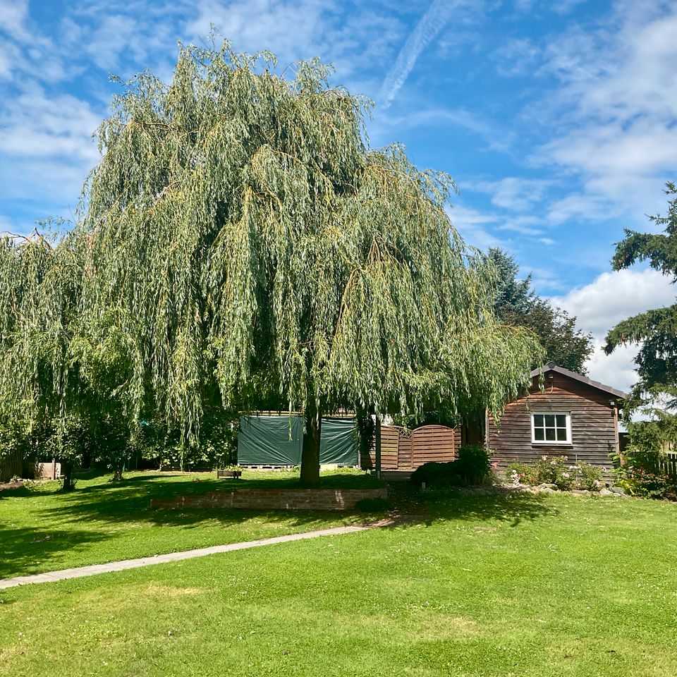 Zweifamilienhaus mit herrlichem Garten - Bernshausen in Seeburg (Niedersachsen)