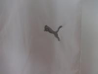 Freizeit-Sport-Hose  "PUMA"  NEU! München - Berg-am-Laim Vorschau