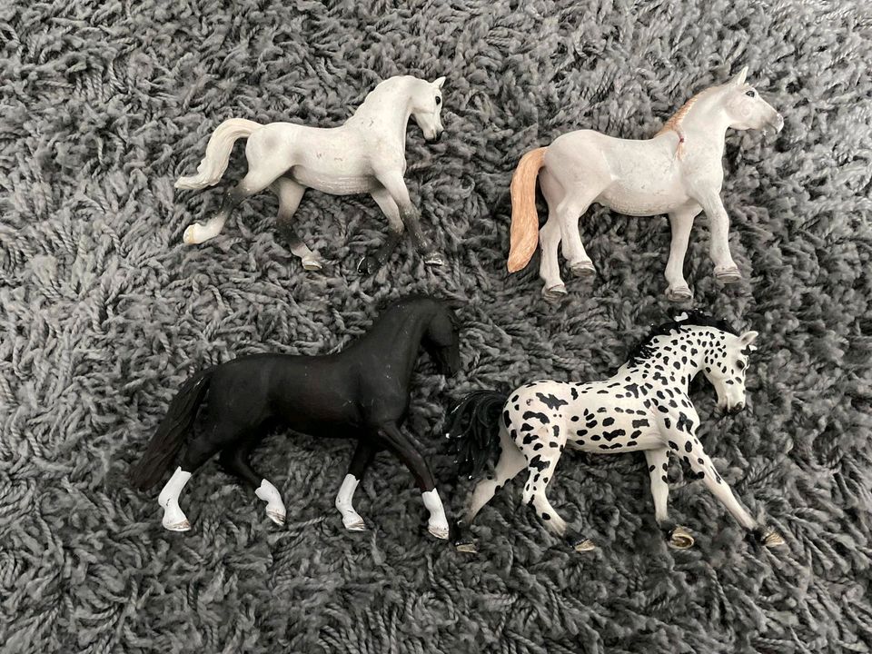 Schleich Pferde in Niederkrüchten