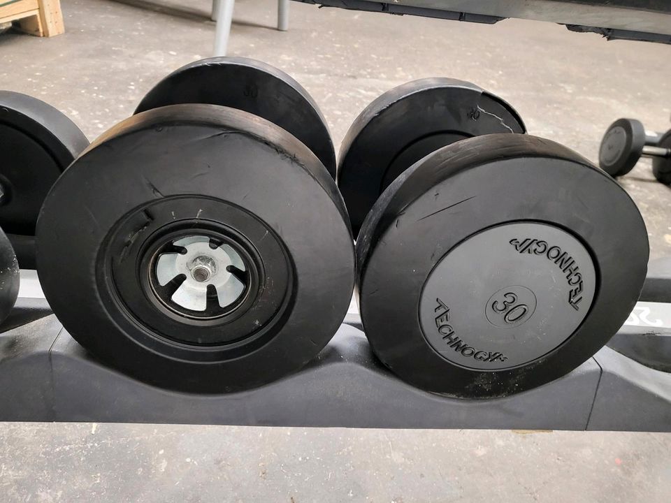 TECHNOGYM GYM DUMBBELL SET KURZHANTEL GEWICHTE RACK 80 in Gremmendorf