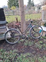 28 Zoll Simson Damenfahrrad Mecklenburg-Strelitz - Landkreis - Neustrelitz Vorschau