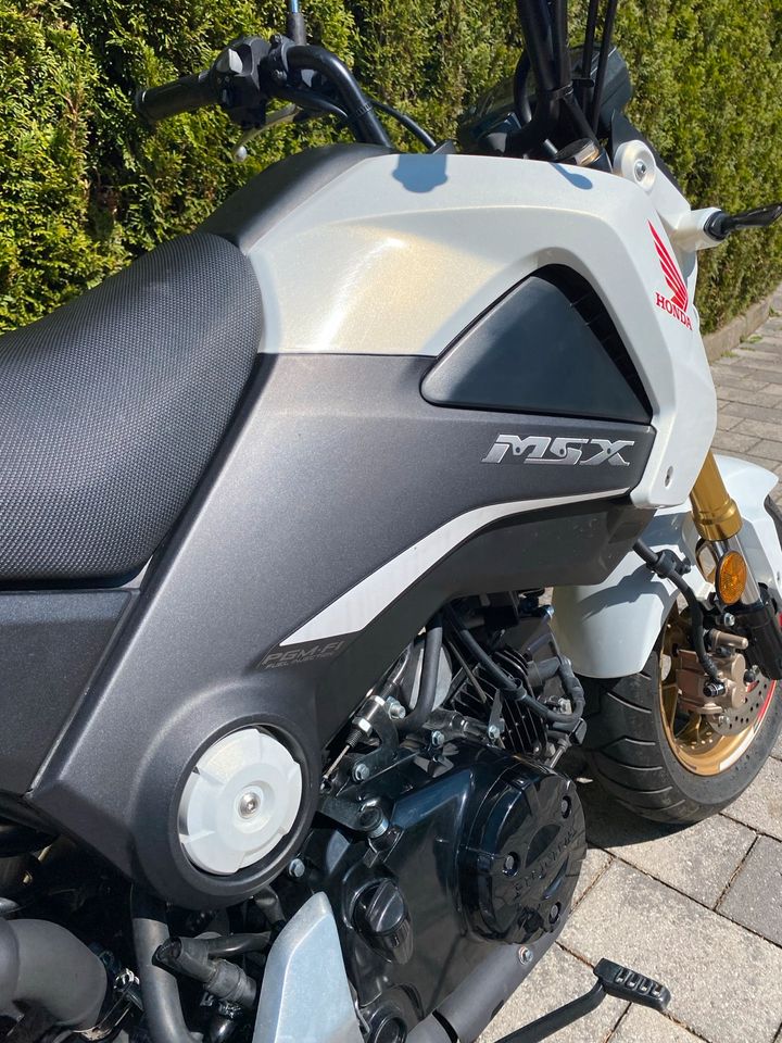 Honda MSX 125 Motorrad Moped A1 Hurric in Schwäbisch Gmünd