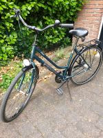 Grünes Pegasus Damen Fahrrad 28 Zoll Nordrhein-Westfalen - Moers Vorschau