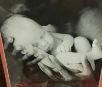 Anne Geddes Puzzle 1000 Teile Neu Niedersachsen - Seevetal Vorschau