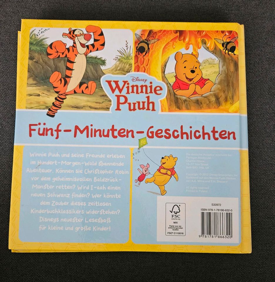 Winnie Puuh Buch Fünf-Minuten-Geschichten in Demitz-Thumitz