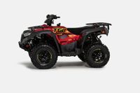 TGB Blade 550X FL LOF Model 2024 Das Quad/ATV der Profi Liga Baden-Württemberg - Zimmern ob Rottweil Vorschau