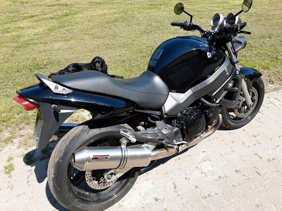 Motorrad Honda x11 in Telgte