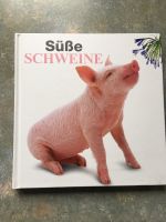 Buch Süße Schweine Hardcover - neu Geschenkidee Hessen - Taunusstein Vorschau