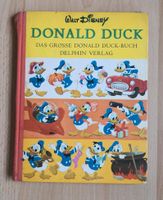 Walt Disney Das grosse Donald Duck-Buch Delphin Verlag 1967 Niedersachsen - Faßberg Vorschau