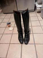 Reitstiefel Petrie Perfect Gr.39 Hessen - Wabern Vorschau