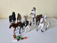 Schleich Pferdeset 10 Stück, inklusive 13792 Friese Hengst Nordrhein-Westfalen - Gelsenkirchen Vorschau