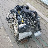 VW Seat Skoda Audi CAY CAYA CAYB CAYC Motor 1.6 TDI 141.000 TKM Hamburg-Mitte - Hamburg Billstedt Vorschau