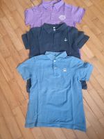 3 Poloshirts 134/140 Jungs Sachsen-Anhalt - Stendal Vorschau