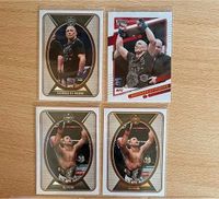 UFC Donruss 2022 Legends JSP, BJ Penn Brandenburg - Neuhausen/Spree Vorschau