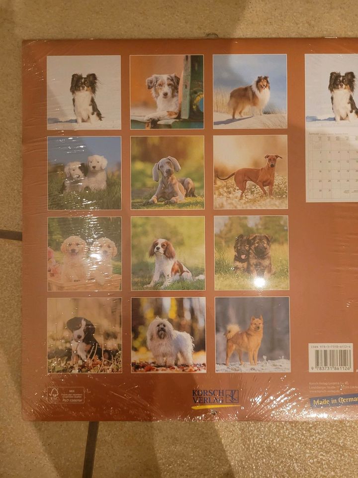 Hunde Kalender, Dogs 2023 in Lohr (Main)