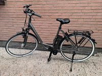 E-Bike Marke Raleigh Unisex Niedersachsen - Südbrookmerland Vorschau