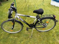 28 Zoll 28er Fahrrad Conquest Performance weiß schwarz Schleswig-Holstein - Oldendorf (Holstein) Vorschau