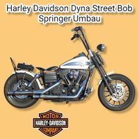 Harley Davidson Dyna Street Bob Springer Umbau Custombike Sachsen - Käbschütztal Vorschau