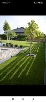 Dienstleistungen Stibel "Garten und Landschaftsbau Bayern - Reisbach Vorschau