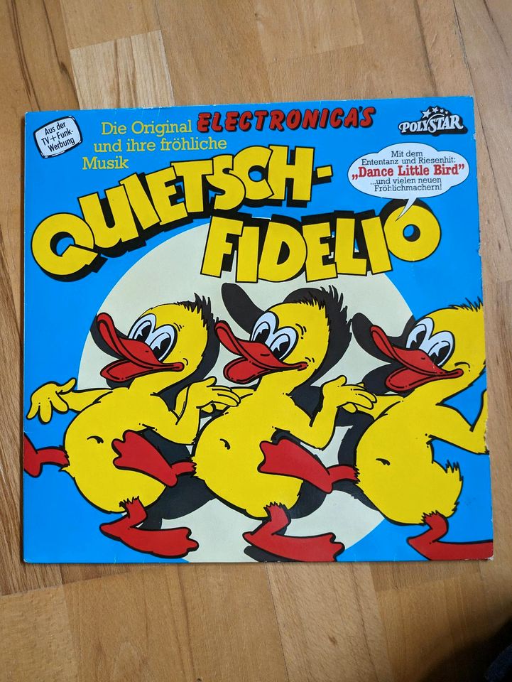 Quitsch Fidelio Schallplatte in Kammeltal