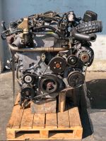 Motor YD25 2.5DCi NISSAN 75TKM KOMPLETT Berlin - Wilmersdorf Vorschau