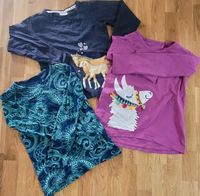 Set- Sweatshirt Longsleeves - 140/146- Desigual/Jako-o/Salt&Peppe Baden-Württemberg - Unterstadion Vorschau