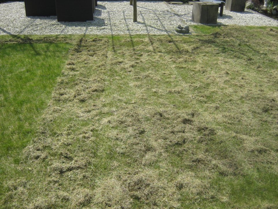 Vertikutieren - Gartenpflege in Halstenbek