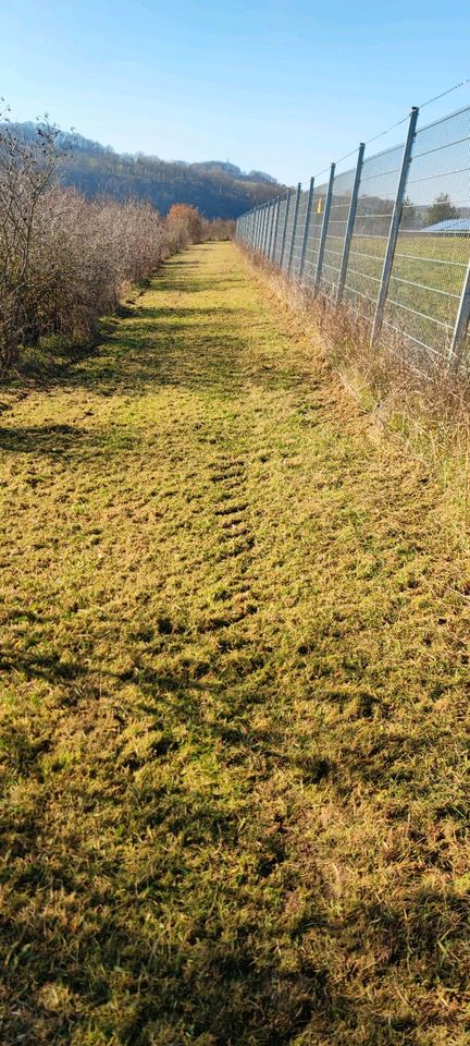 Mäharbeiten Mähen Mulchen Mulcharbeiten Grünflächenpflege in Marktheidenfeld