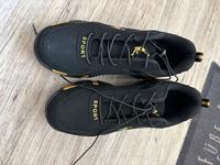 Nagelneues Paar Sportschuhe Nordrhein-Westfalen - Warburg Vorschau