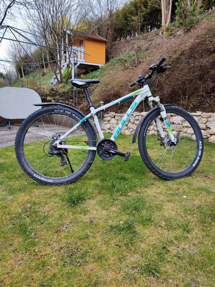 Mountainbike in Elchingen