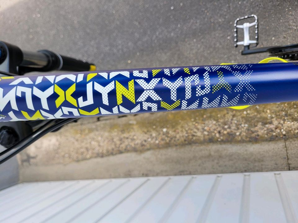 Damen Mountainbike Specialized Jynx Comp 27,5" in Alsdorf