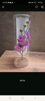 Velou Glasvase Orchidee NEU Nordrhein-Westfalen - Hagen Vorschau