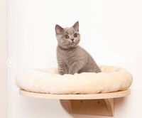 Katzen Bett wand Bayern - Großostheim Vorschau