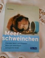 Pflege von Meerschweinchen Thüringen - Zella-Mehlis Vorschau