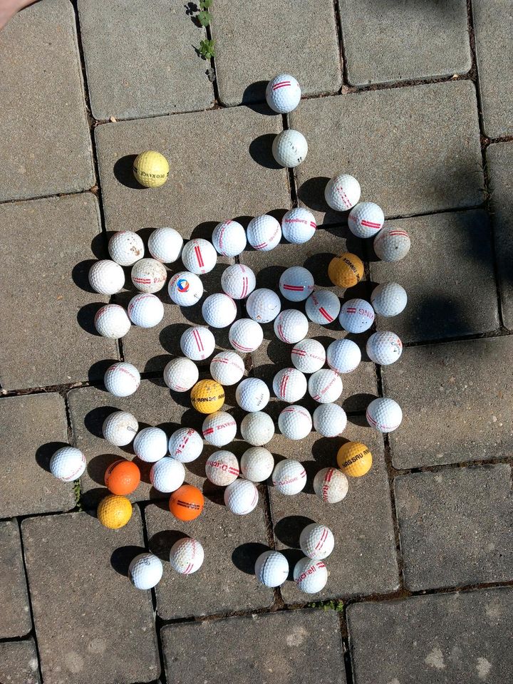 Golfbälle, 63 Stück in Dischingen