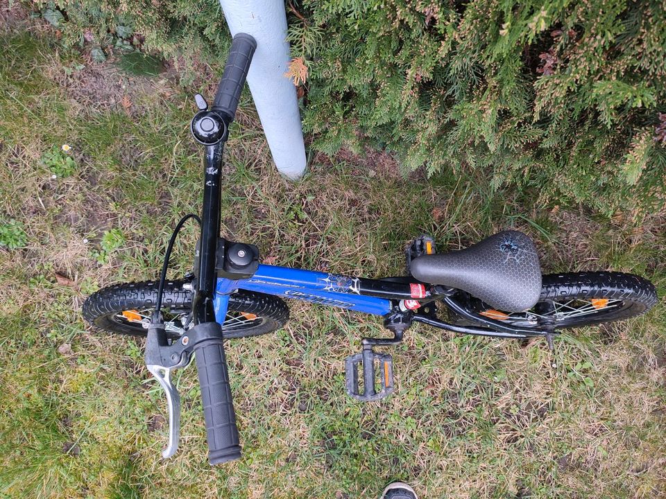 Specialized Hotrod 16 Zoll Kinderfahrrad Blau/Schwarz in Dohna