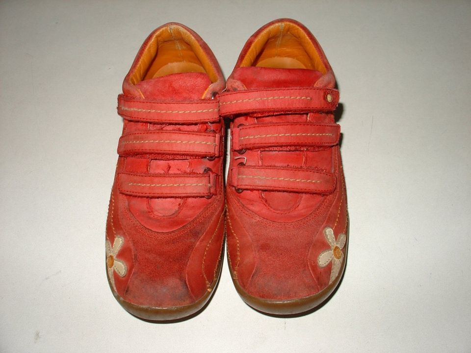 ELEFANTEN Mädchen Halbschuhe Sneakers Freizeit - WILDLEDER Gr.35 in Augsburg