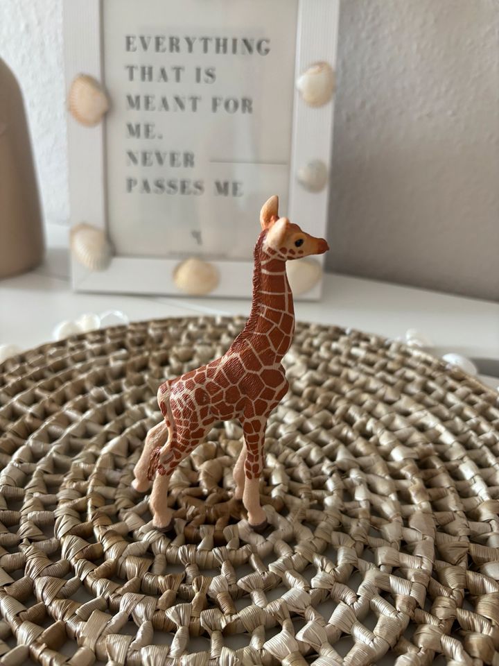 Schleich Giraffe in Hameln