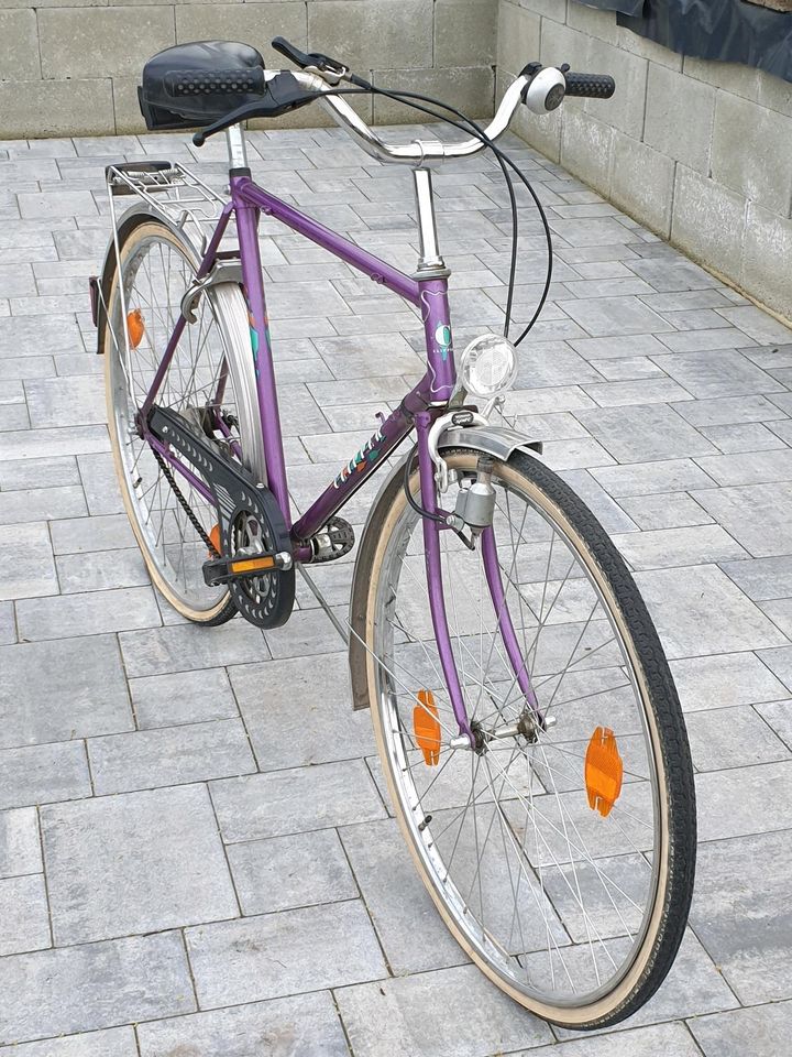 Herren-Fahrrad in Niederwiesa