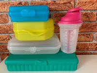 NEUE Tupperware divers ab 7€ je Teil NEUWARE Hessen - Riedstadt Vorschau