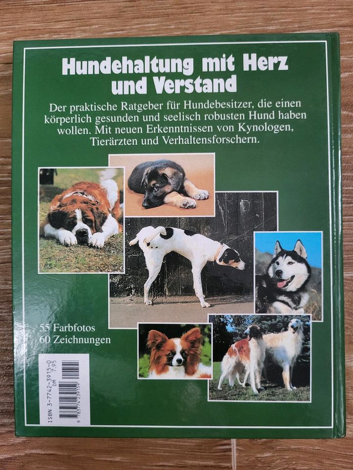 Hans Ullmann Hunde- Erziehung,Pflege,Ernährung,Gesunderhaltung in Berlin