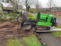 Wurzelfräsen, Stubbenfräsen, Wurzel entfernen Saarland - Ottweiler Vorschau