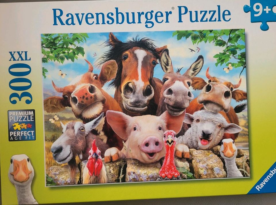 Ravensburger Puzzle 300 bis 500 Teile in Göttingen