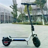 E Scooter Roller Elektro 2 Rad Promax S9 E-Scooter Mecklenburg-Vorpommern - Putgarten Vorschau