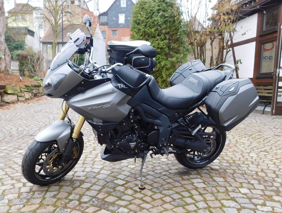 Triumph, Tiger 1050 in Bad Salzungen