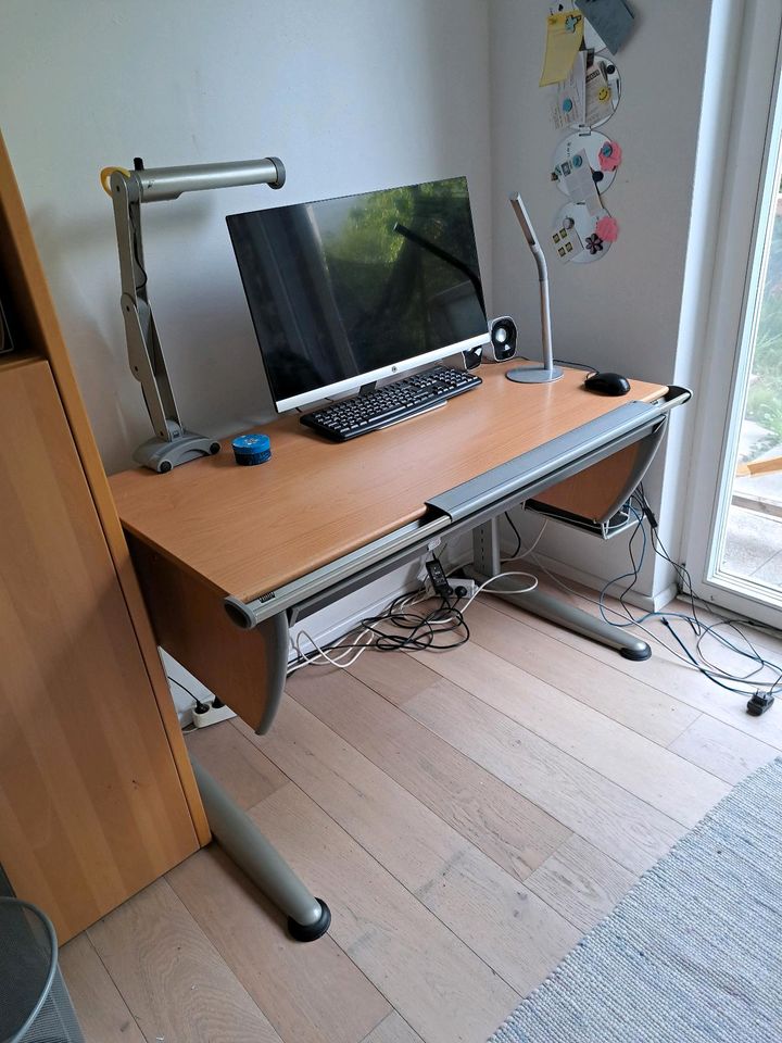 Moll Schreibtisch in Freiburg im Breisgau
